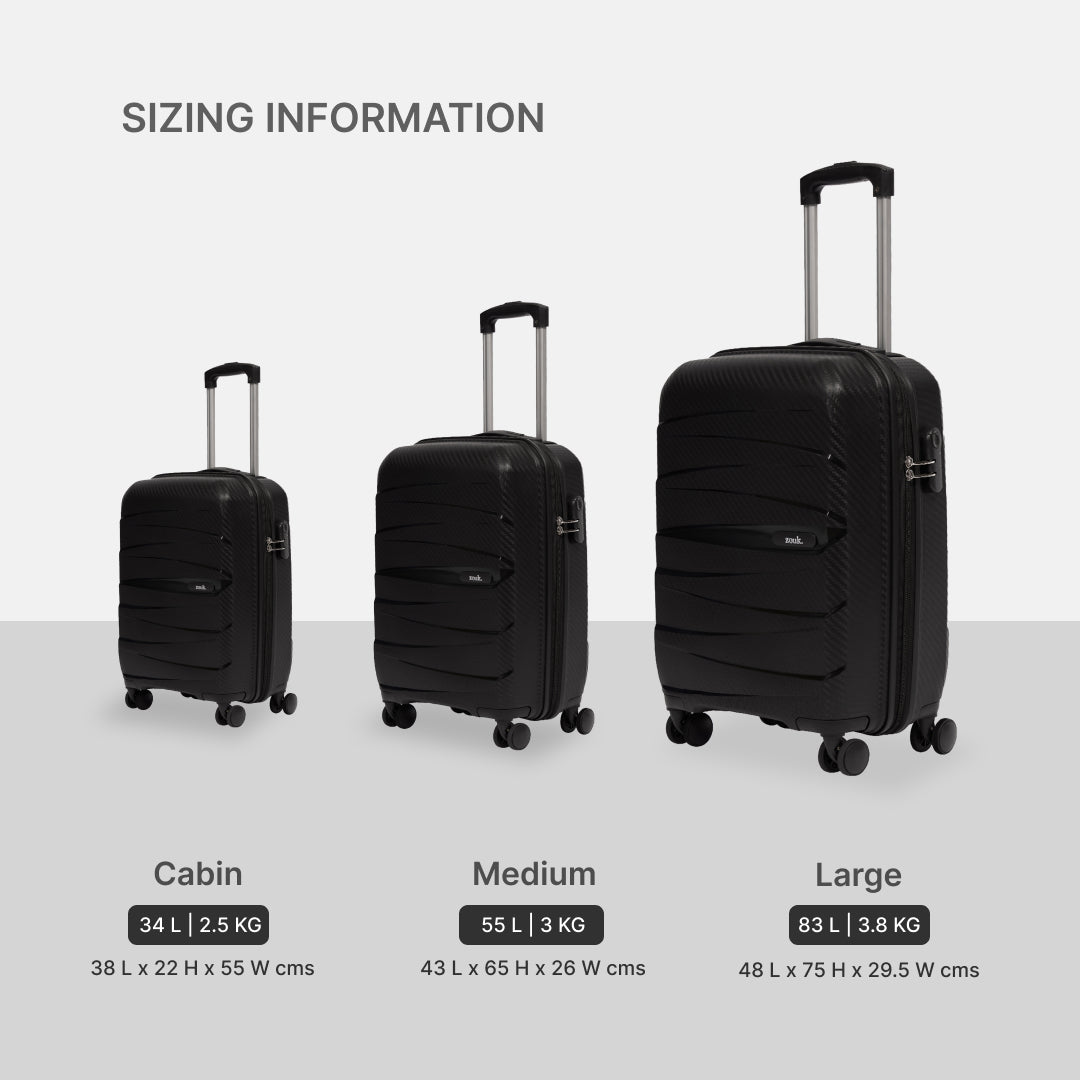 Black Aira Trolley Bag Combo (Cabin & Large)