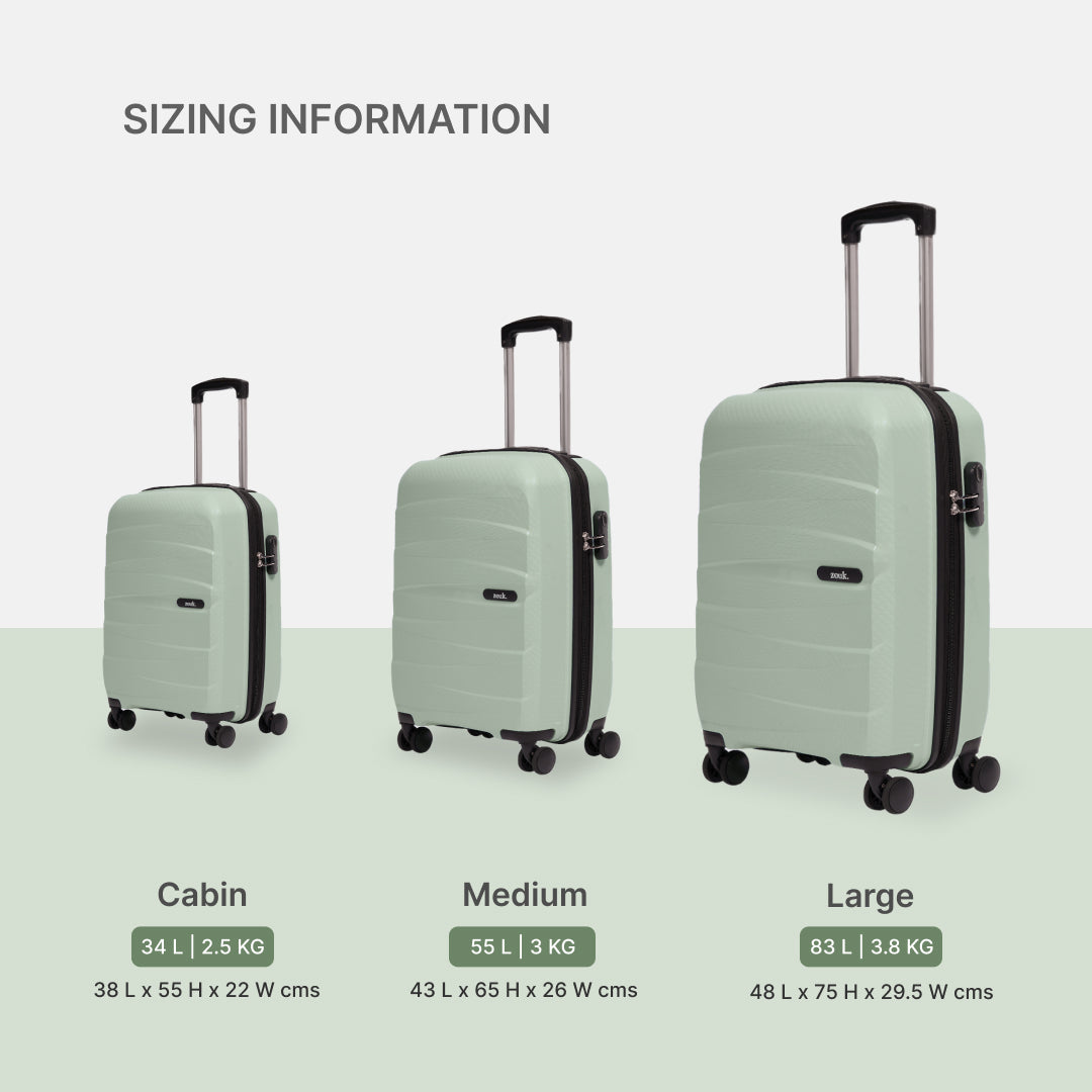 Mint Aira Trolley Bag Combo (Cabin & Medium)