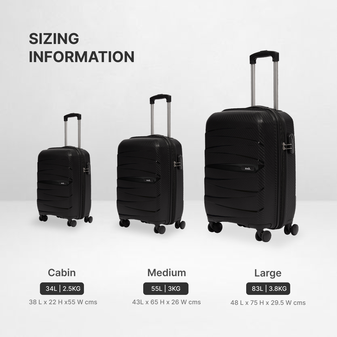 Black Aira Trolley Bag Combo (Cabin & Large)