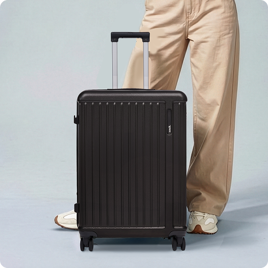Trolley Bags