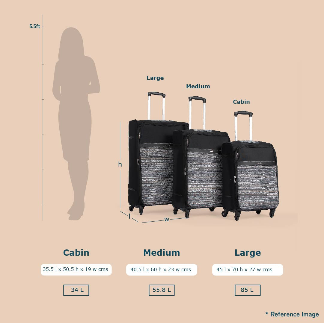 ZIP-Hyderabad Ikat Avasa Trolley Bag (Black)