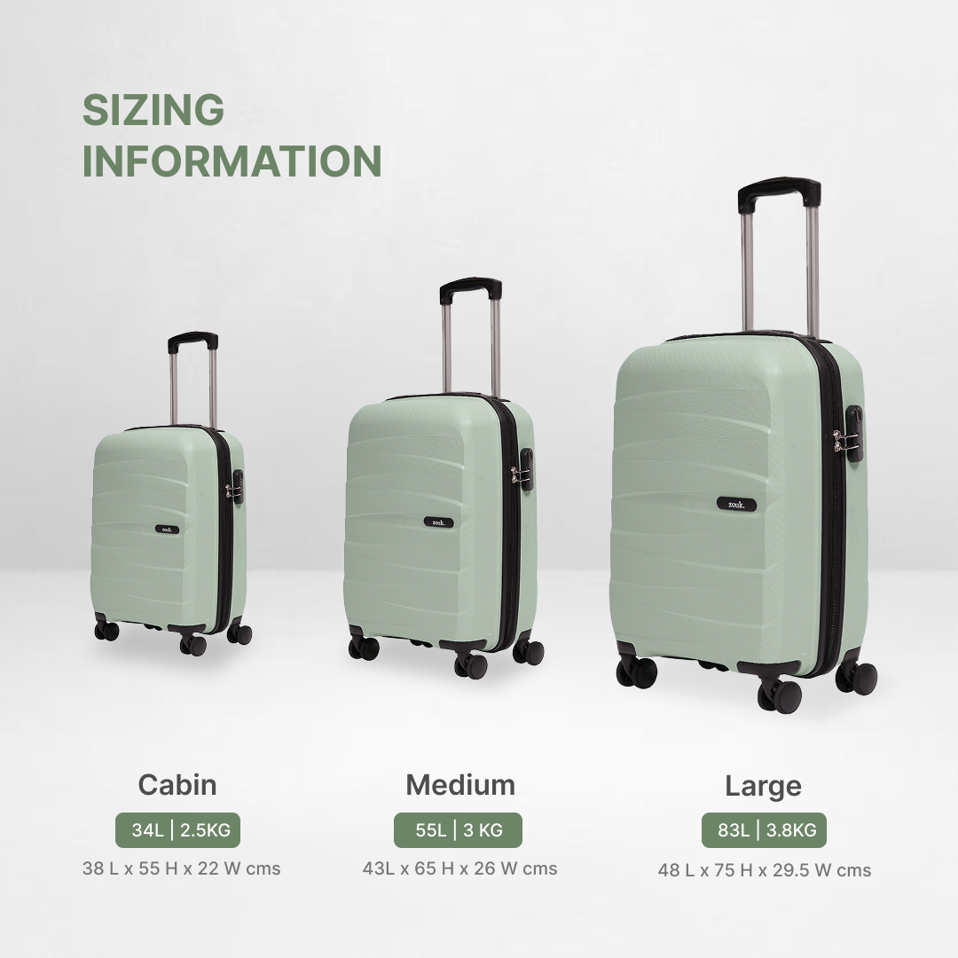 Mint Aira Trolley Bag Combo (Cabin & Large)